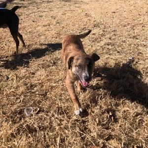 Meet your Posher, Avery